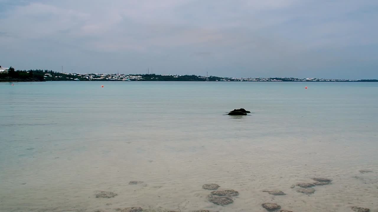 shelly bay beach는 버뮤다의 북쪽 해안 해안선에 위치한 해변 중 하나입니다.