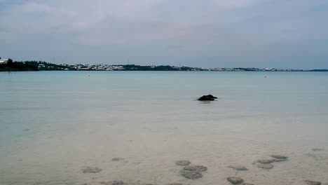 Shelly-Bay-Beach-Ist-Einer-Der-Strände-An-Der-Nordküste-Von-Bermuda