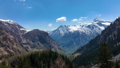 Drone-in-crane-motion-revealing-Italian-alp-mountain-range-behind-pine-trees