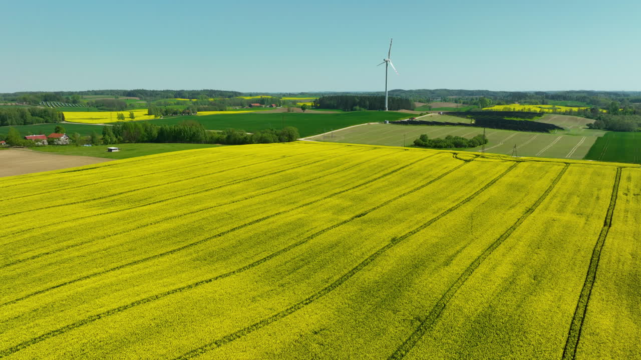 An aerial view of expansive rapeseed fields and surrounding green farmlands, with a distant view of wind turbines under a clear sky