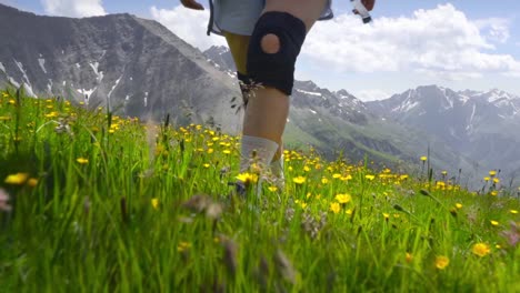 a woman hiker wears knee braces walking through wildflower fields in the mont blanc region, enjoying scenic alpine meadows and mountain views