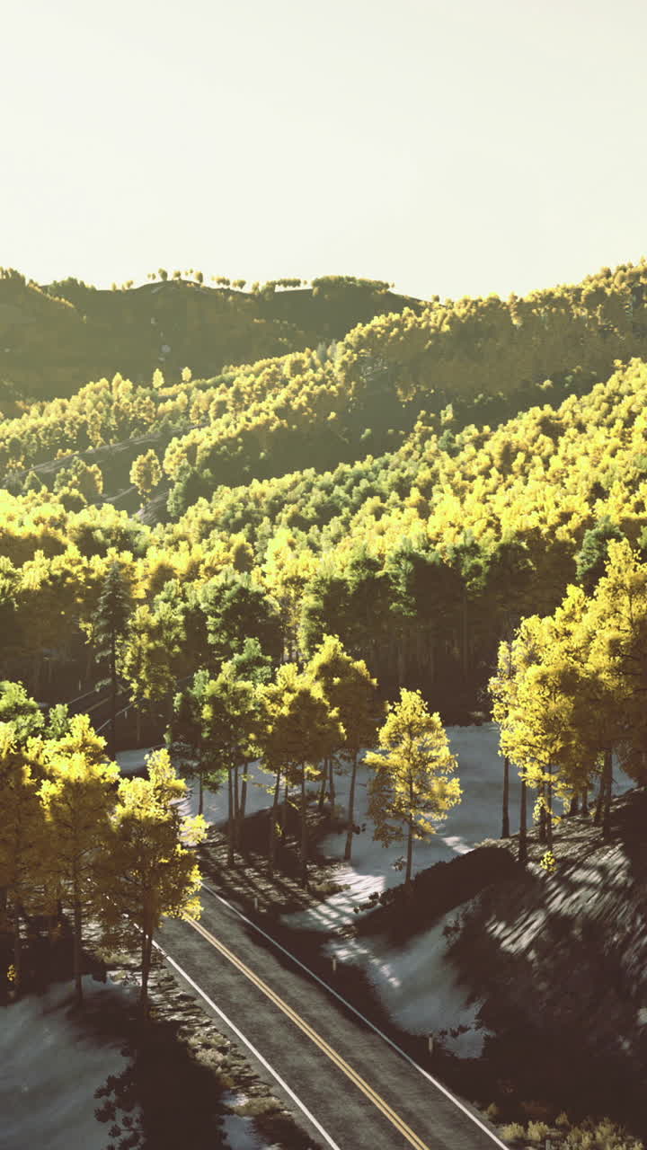 Lush green forest landscape with railway under sunlight at dawn