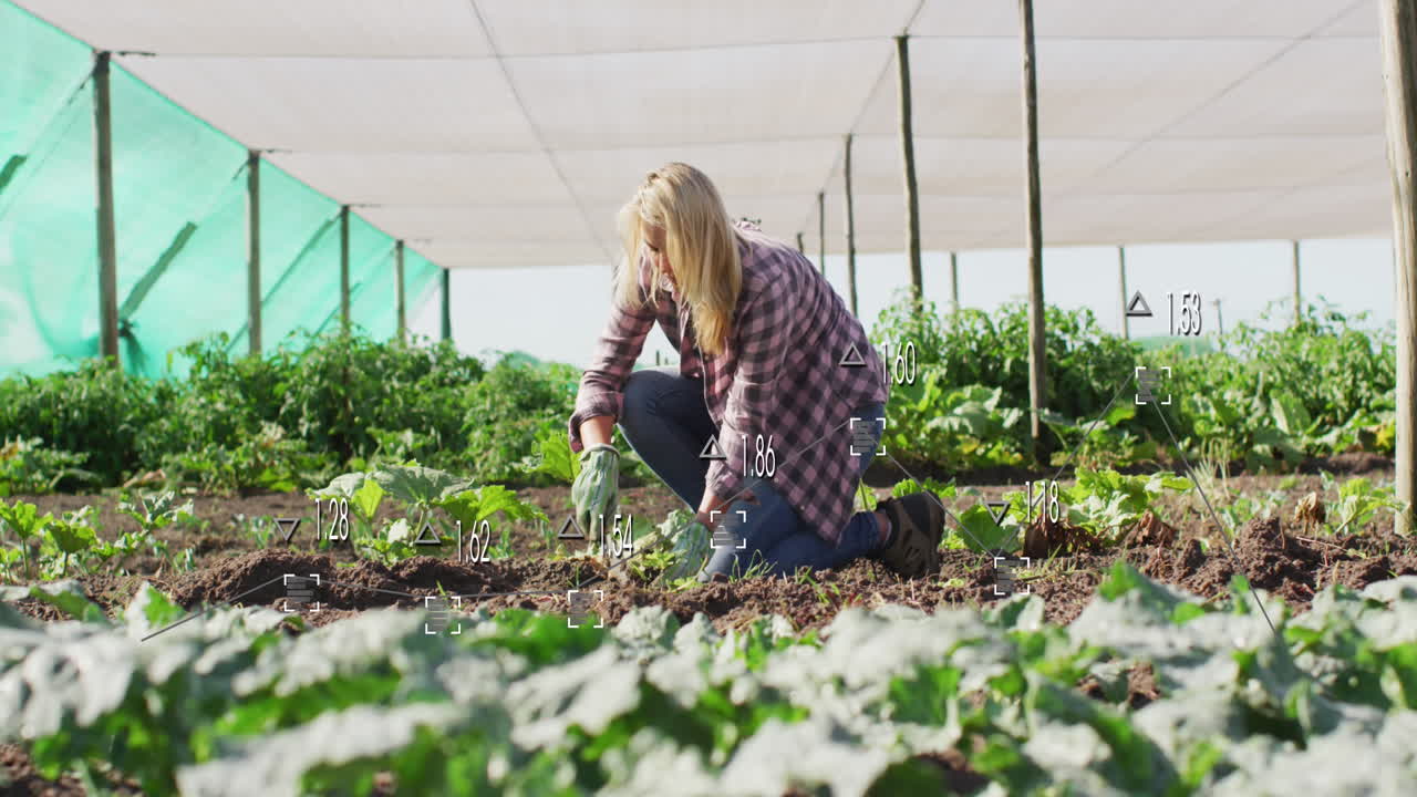 animación del procesamiento de datos financieros sobre la jardinería de la mujer caucásica