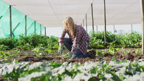 animation of financial data processing over caucasian woman gardening