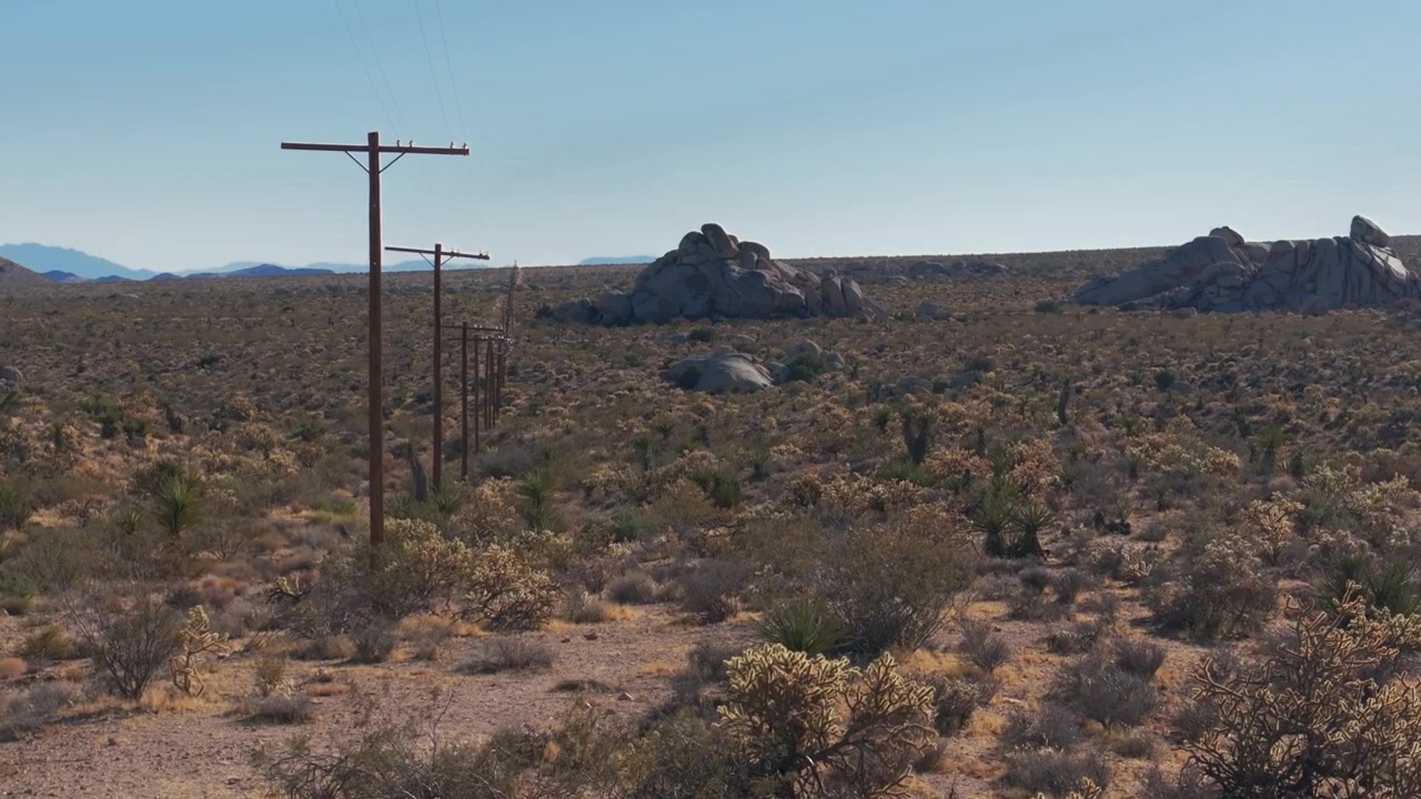 Linee di pali elettrici e telefonici, Dune di Kelso Pinto Basin, Parco Nazionale Joshua Tree California, ripresa aerea con drone, alberi di Yucca, Contea di San Fernando, deserto del Mojave e del Colorado, pomeriggio soleggiato, cielo blu, in avanti