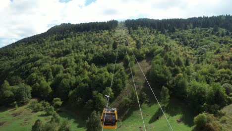 el teleférico forestal