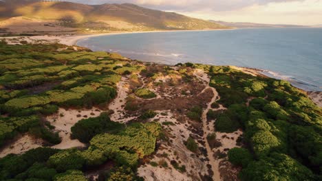 aerial view of the rocky tarifa coastline filled with vegetation in spain