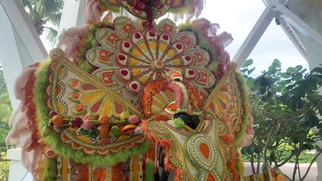 junkanoo bahamas feathered traditional costume for street parade and caribbean christmas ceremony or dance