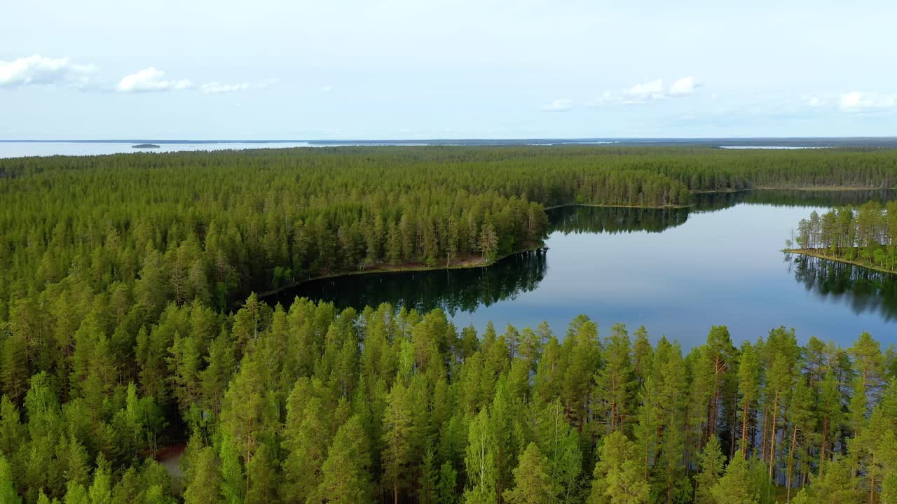 핀란드 의 호수 와 숲 의 공중 전망. 핀란드 의 아름다운 자연.