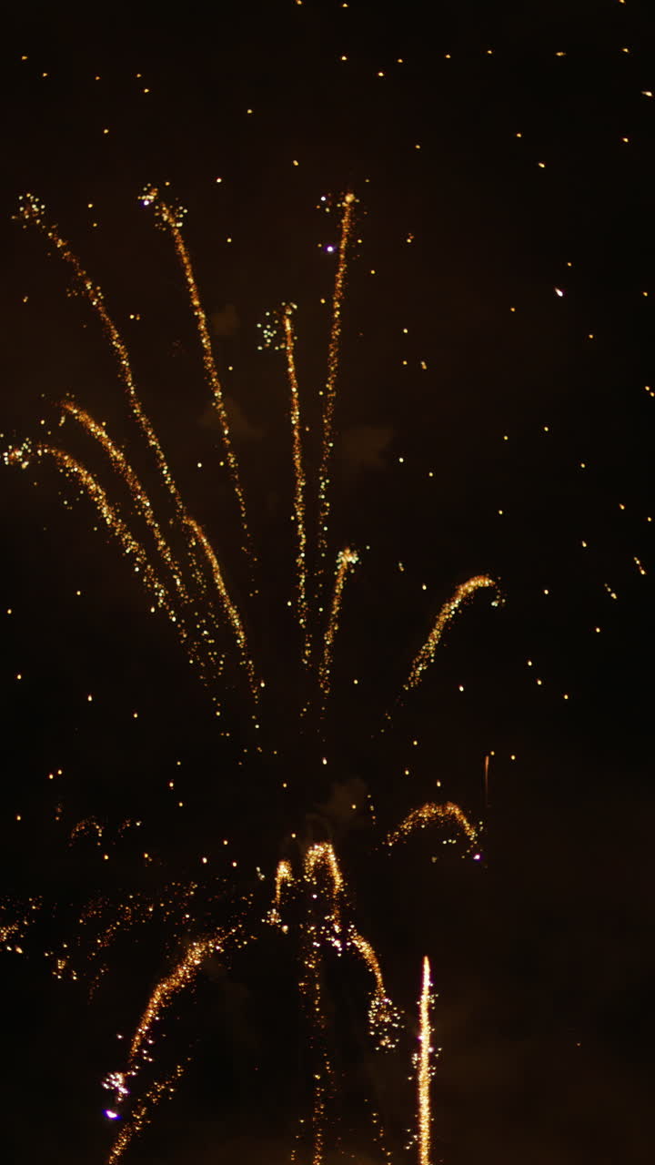 Fireworks on the sky at the Cannes Fireworks Festival at night. Vertical