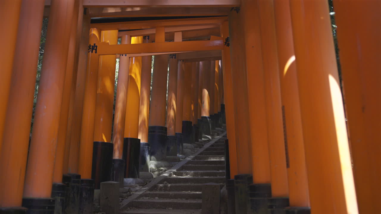 Kävele Kiotossa sijaitsevan Fushimi Inari -pyhäkön ikonisten punaisten toriporttien läpi. Tämä tunnettu pyhäkkö on täynnä upeita polkuja ja rikasta kulttuurista merkitystä lämpimän auringon alla.