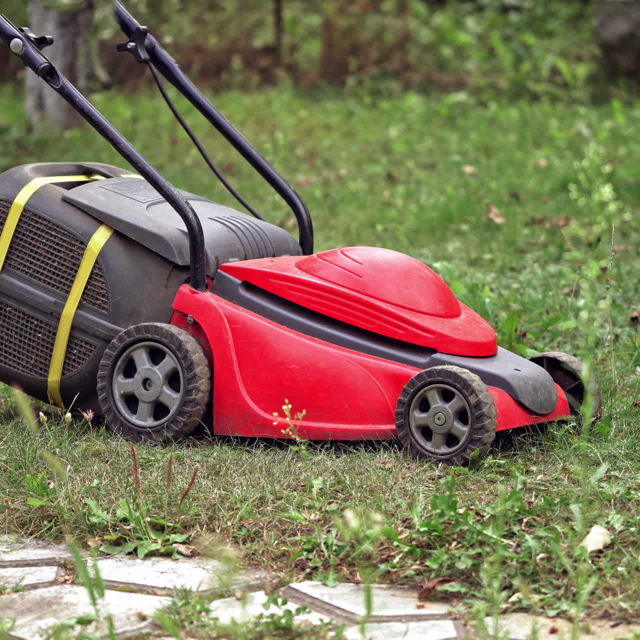Male's legs in shorts mows grass with lawn mower in summer. Red lawn mower is cutting long green grass on the backyard outdoors.