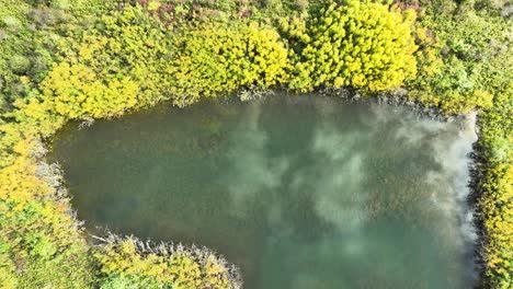 Drone-closing-in-on-a-small-pond-in-a-commercial-area