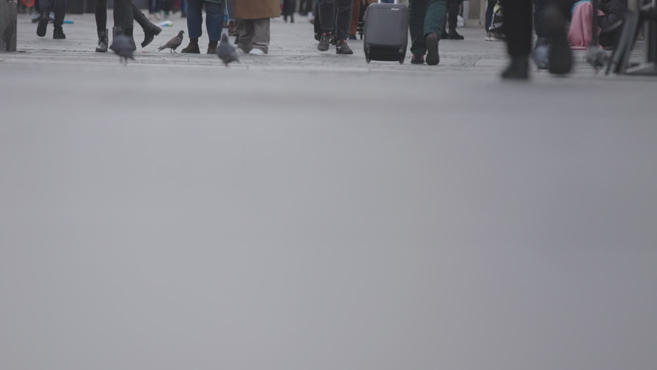 City Street Scene with People and Pigeons