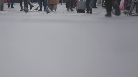 city street scene with people and pigeons