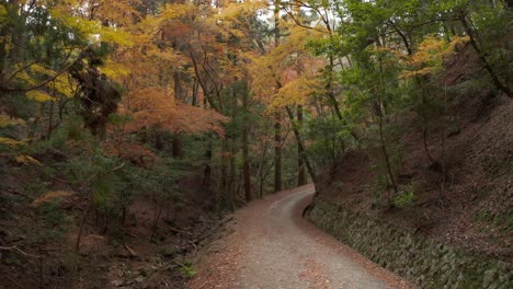 일본 나라의 가을 산길