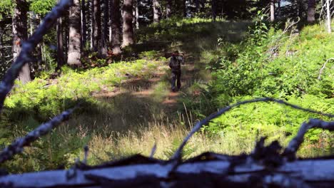 Hunter-hikes-up-a-trail-with-a-bow-green-green-sunlit-forest-trail