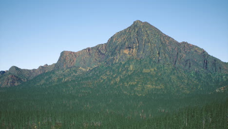 view of a rugged mountain peak surrounded by dense evergreen forest