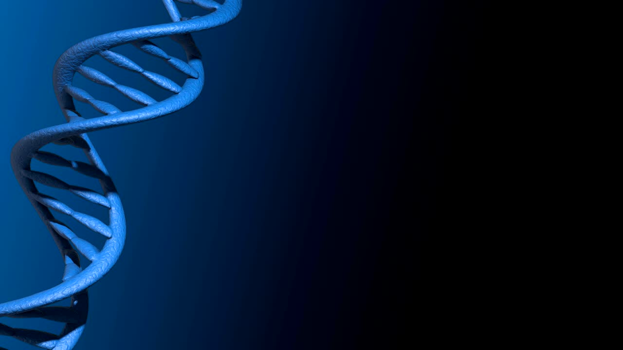 código de adn. abstracto 3d marco de alambre poligonal dna molécula hélice en espiral. animación en bucle.