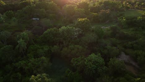 Vista-Aérea-De-Drones-Del-Campo-De-La-Selva-De-Bolivia-Cerca-De-Santa-Cruz-4k-De-Alta-Resolución