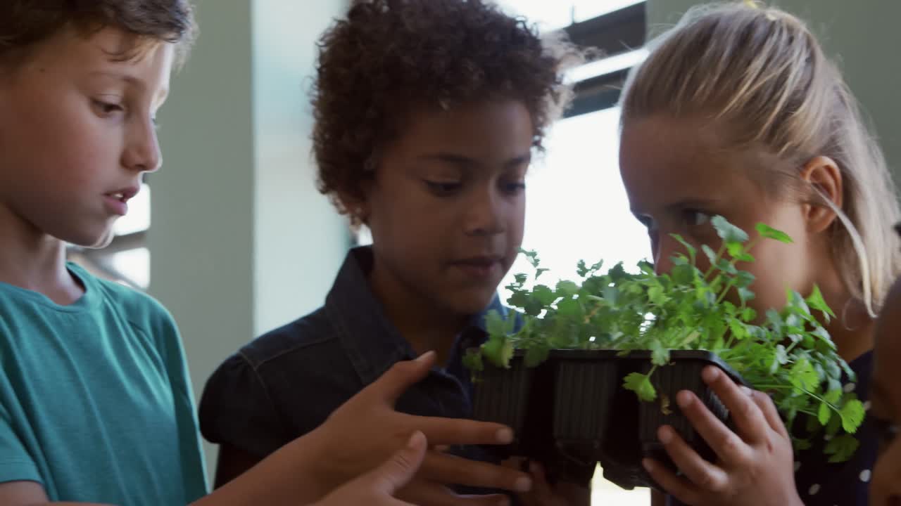 Group of kids holding plants in the class