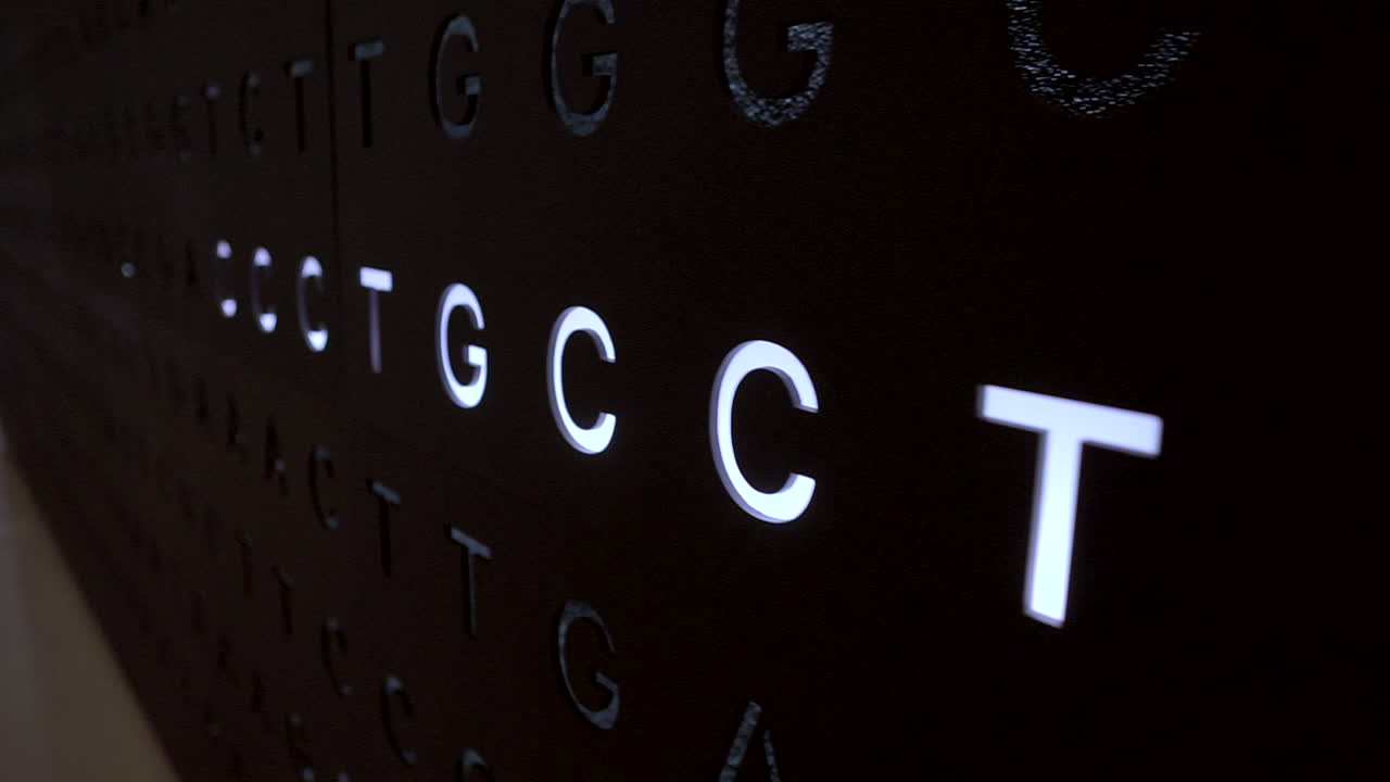 Museum of Tomorrow, Rio De Janeiro, Brazil