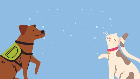 dog and cat mascots animation