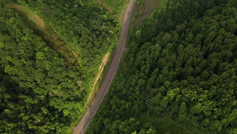 vista aérea de los pájaros, autopista americana en el paisaje verde del bosque en el día de verano