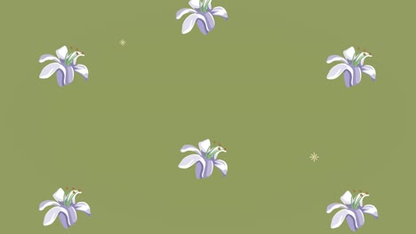 animación de patrones de flores blancas de primavera