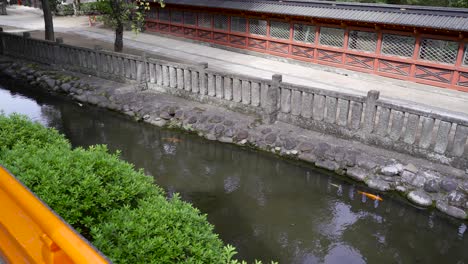 Ver-Hacia-Abajo-En-El-Estanque-Japonés-Con-Peces-Koi-Típicos-Contra-La-Pared-Del-Templo-Con-Camino