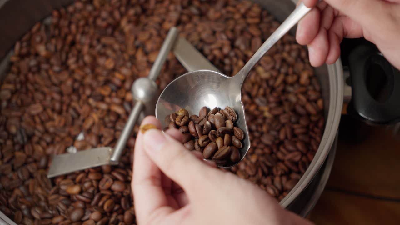 Stirring freshly roasted coffee beans in a cooling container, using a spoon to check their roast level