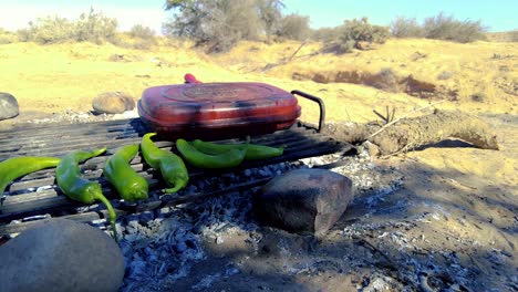 grilled lamb chops barbecued over embers in the middle of the desert in bivouac