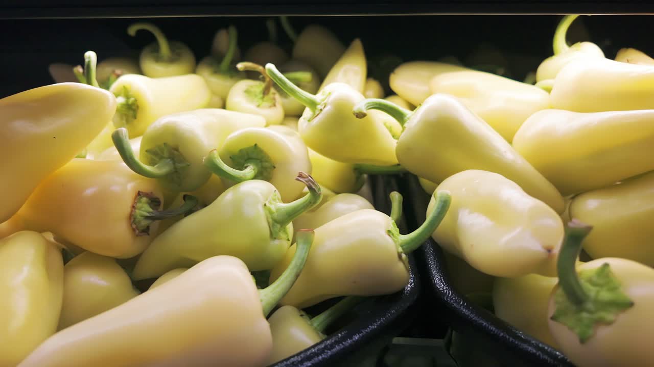 신선 한 초록색 러드 고추 어리