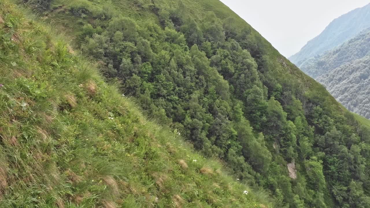 Pemandangan gunung hijau dan vegetasi di Georgia, wilayah Kaukasus.