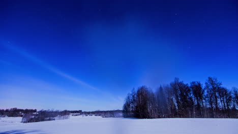 Timelapse-Etéreo-De-Cielos-Azules-Crepusculares-Sobre-árboles-Con-Rayas-De-Nubes