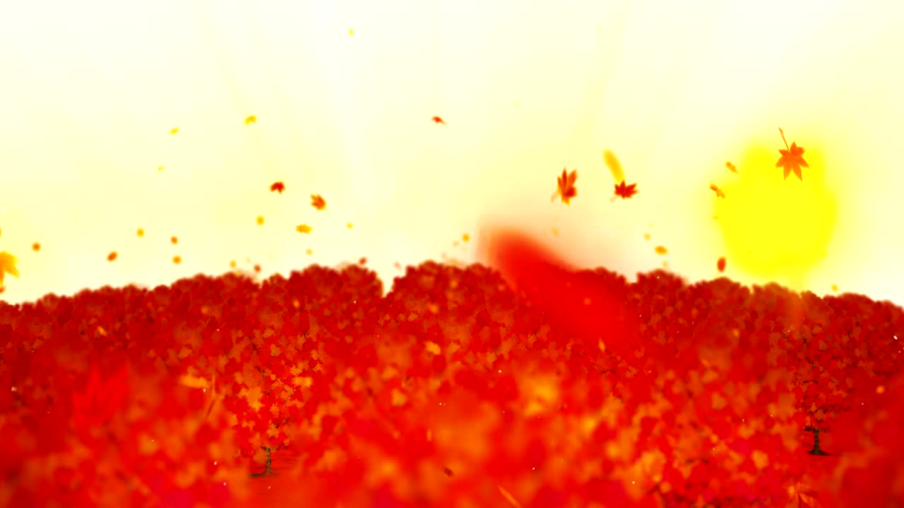 가을의 숲 풍경 일러스트레이션, 추상적인 자연 배경, 메이플 잎 루프 애니메이션