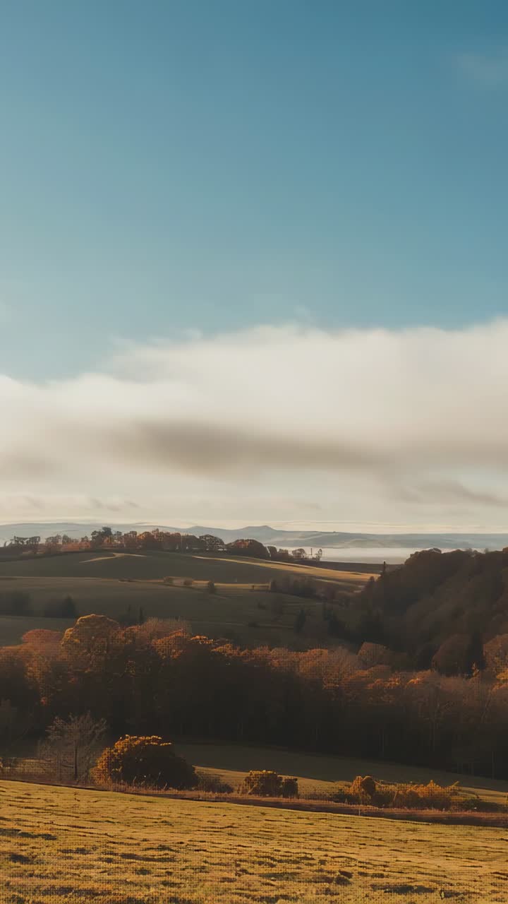 Vertical video: Tilting upward camera revealing pasture and hills in farmland, drifting clouds
