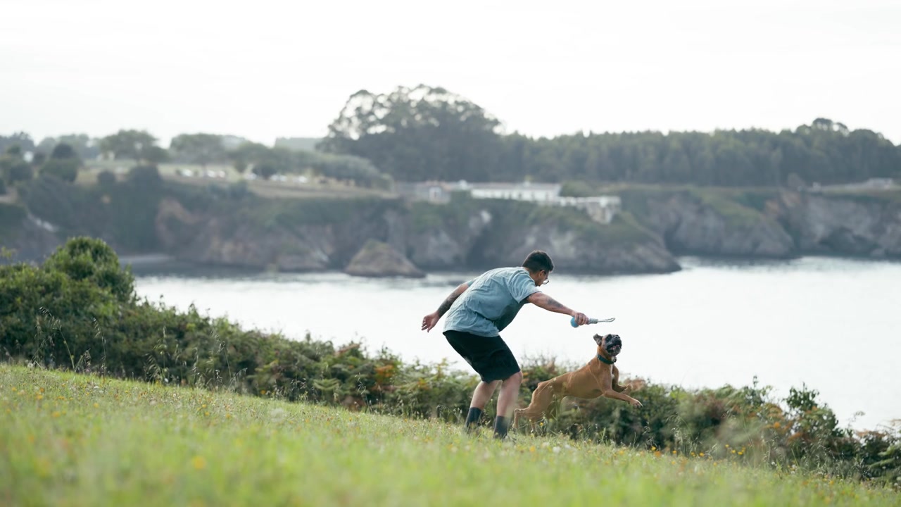 Man Playing with Boxer Dog on Grassy Hillside Overlooking Ocean