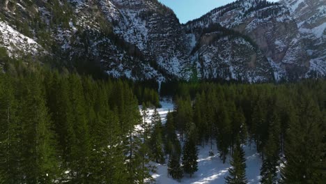 Spruce-Trees-With-Winter-Mountains-Near-San-Vigilio-di-Marebbe-Village,-Trentino-Alto-Adige,-Italy