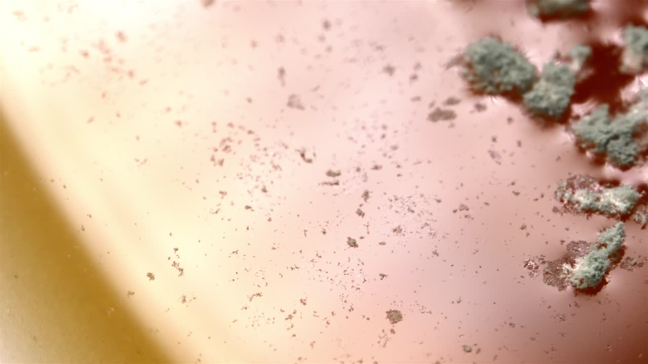 Watch mold grow inside a Diet Coke can, captured in a close-up view.