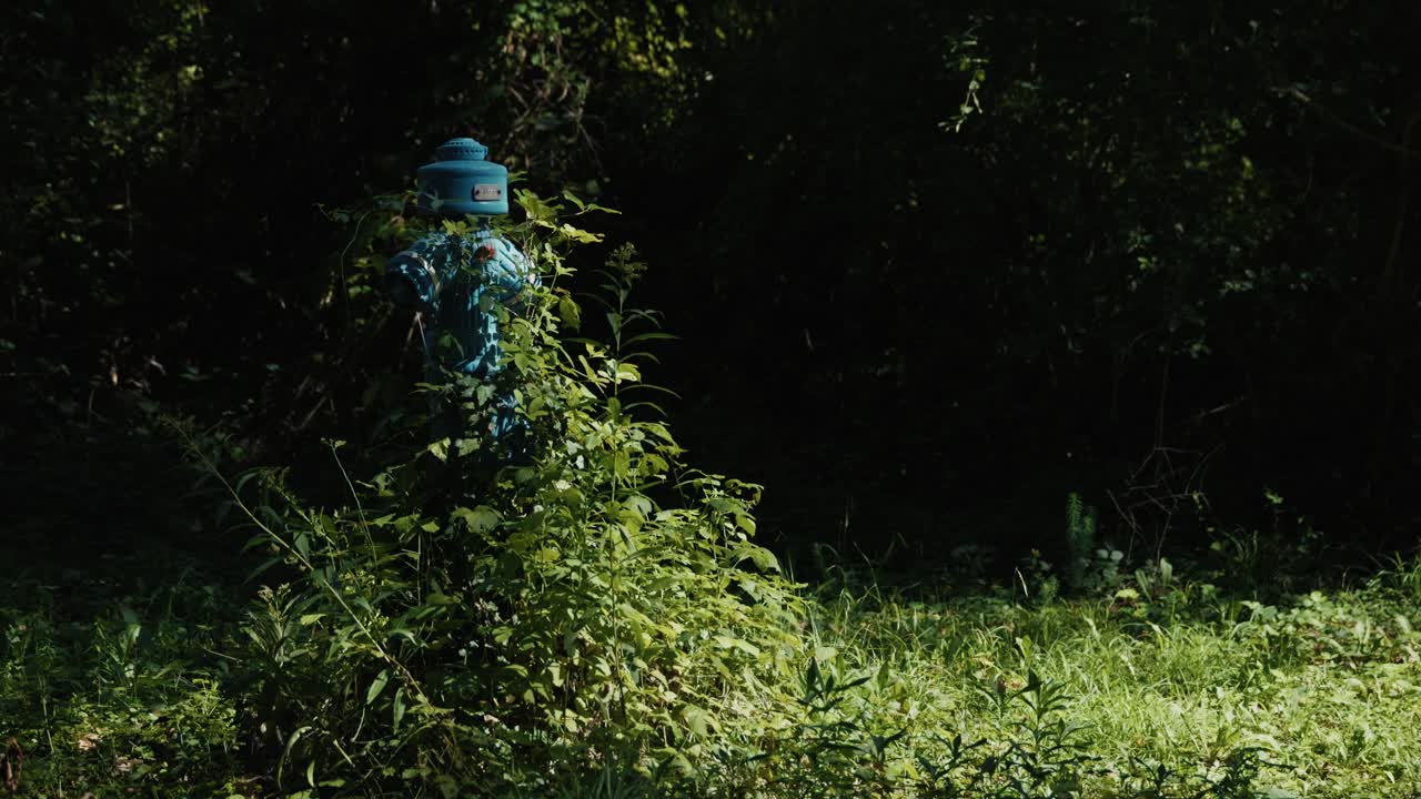 A blue fire hydrant is partially covered by tall grass and plants in a shaded green area near Jarun Lake in Zagreb