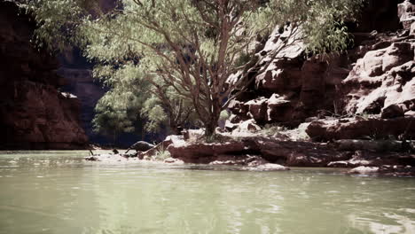 the reflection of the mountains in the river