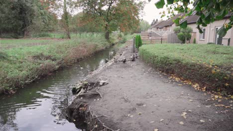 Familia-De-Patos-En-El-Arroyo-En-Una-Zona-Residencial-Rural