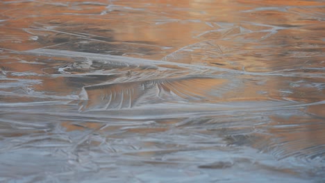 beautiful ice patterns on the freshly frozen surface of the pond