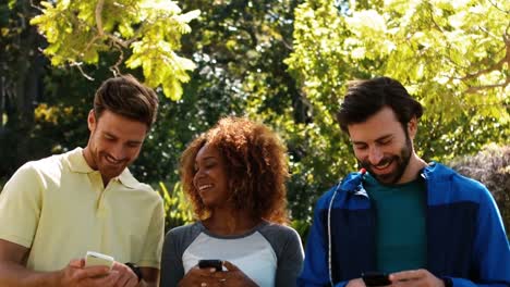 Gruppe-Von-Freunden,-Die-Ein-Mobiltelefon-Benutzen