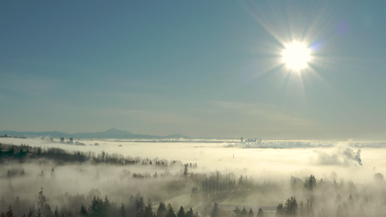 버나비, 브리티시 컬럼비아, 캐나다에서 안개로 덮인 소나무 숲 위로 빛나는 태양의 공중 전망