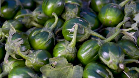 solanum gilo, scarlet eggplant, for sale at the free market, panoramic plan