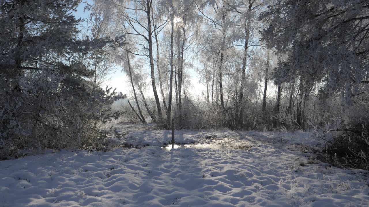 Winter landscape with a camera panning to the treetops. Everything is covered in snow. The sun shines through the trees and everything is frozen. It's foggy and yet the sky is blue. Winter Wonderland