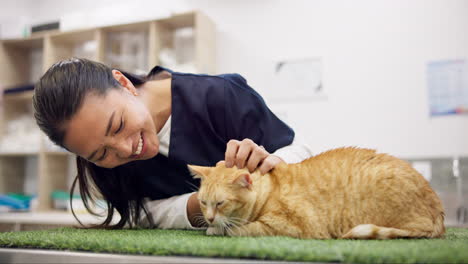 smile, vet and woman with pet cat for care