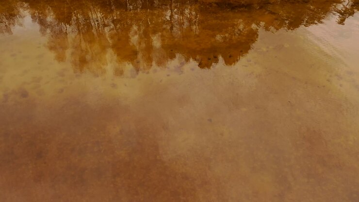 Reflection of forest and clouds in the water